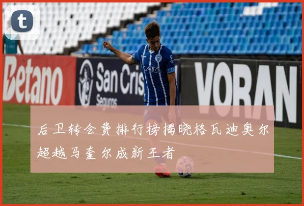 后卫转会费排行榜揭晓格瓦迪奥尔超越马奎尔成新王者