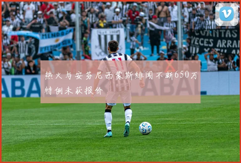 热火与安芬尼西蒙斯绯闻不断650万特例未获报价